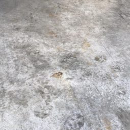 Lucidatura pavimenti
